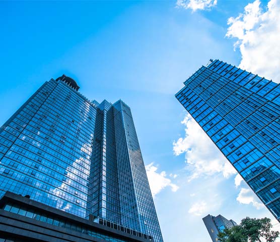 bob手机版网页体育